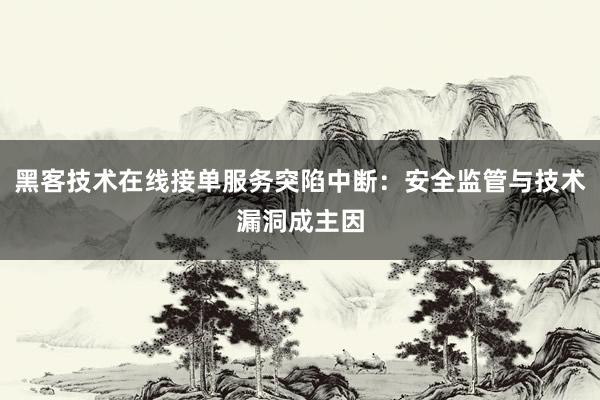 黑客技术在线接单服务突陷中断：安全监管与技术漏洞成主因