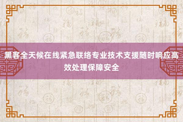 黑客全天候在线紧急联络专业技术支援随时响应高效处理保障安全